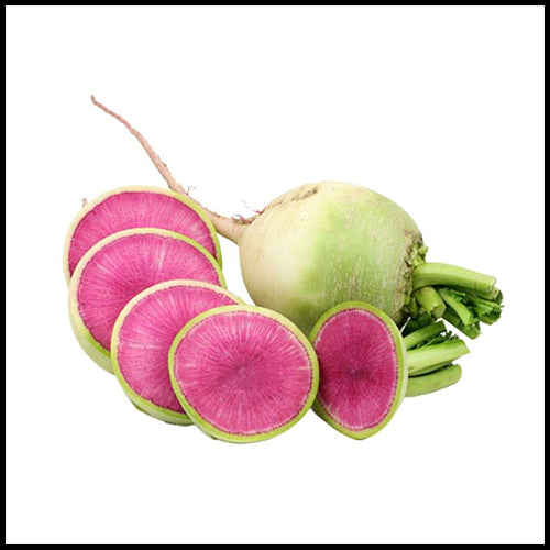 Radishes Watermelon 1lb bag