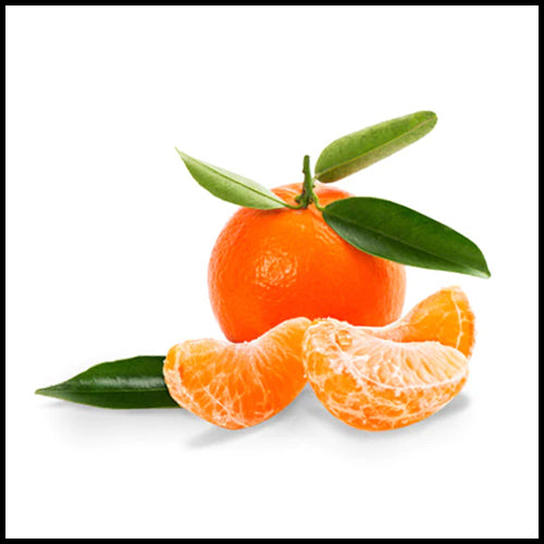 Clementines Stem & Leaf ea