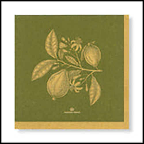 Manor Road Lemon Green/Gold Luncheon Napkins 20Pk