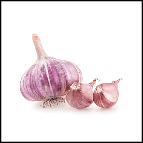 Garlic Bulbs ea