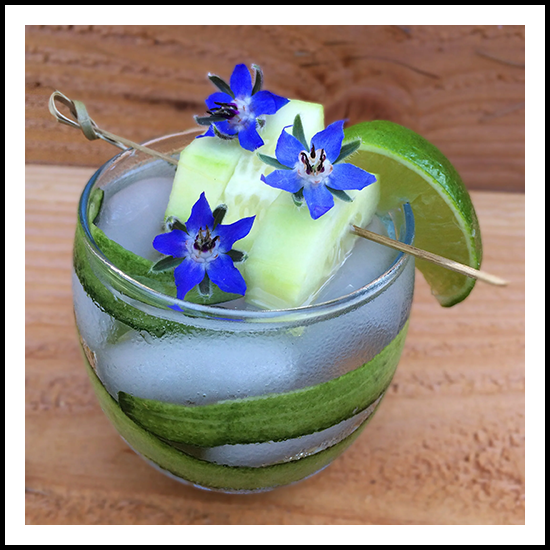 Edible Herbs Borage Blossom 50ct