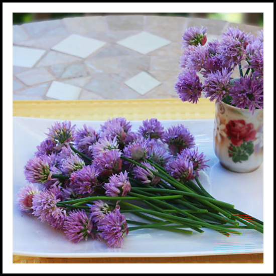 Edible Herbs Chives Blossom 25ct