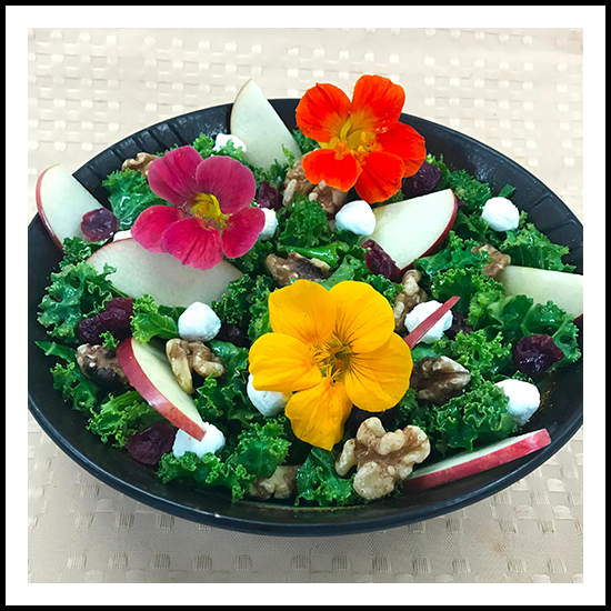 Edible Flowers Nasturtium 25ct