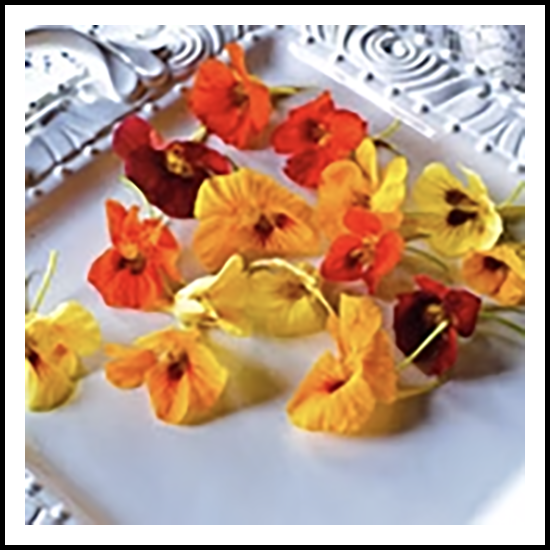 Edible Flowers Nasturtium 25ct