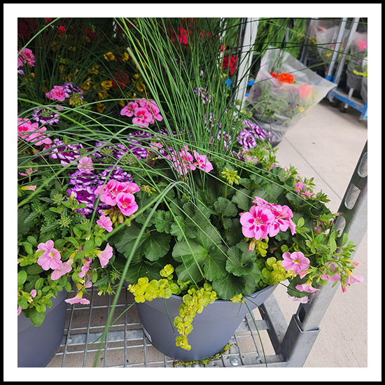 Spring Planter Pot Pink 13"