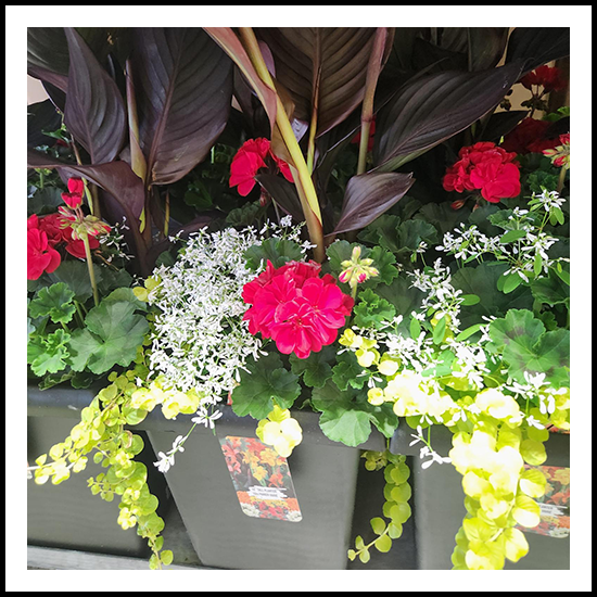 Spring Planter Pot Red 10"