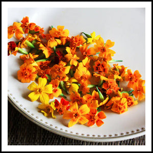 Edible Micro Flowers Marigold 100ct