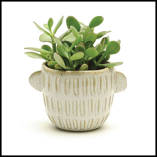 Medium White Pots w/ Handles