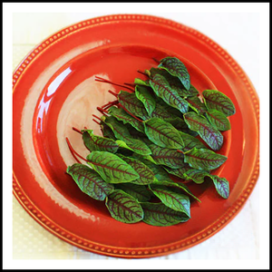 Edible Petite Greens Hearts On Fire 2oz