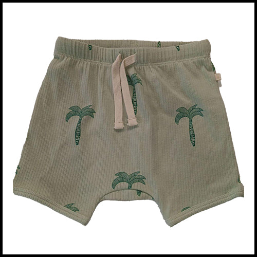 Wilson & Frenchy ribbed plam tree shorts 18-24mth