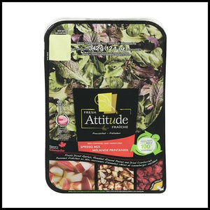 Salad Kit Family Size Spring Mix 342g