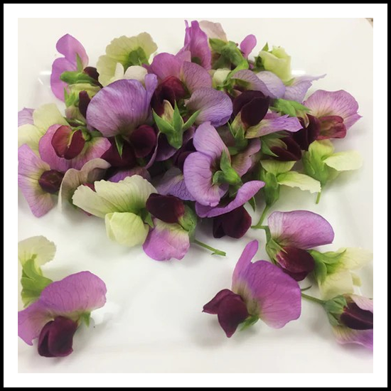 Edible Flowers Pea Flower 25ct