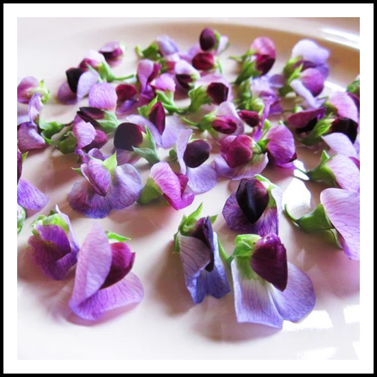 Edible Flowers Pea Flower 25ct