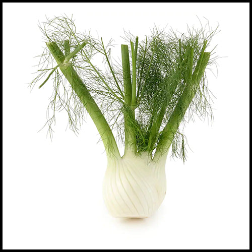 Fennel ea