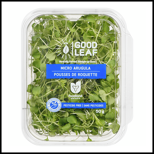 Micro Greens Arugula 50g