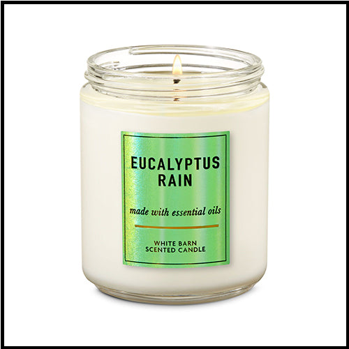 White Barn Candle Single  Wick Eucalyptus Rain