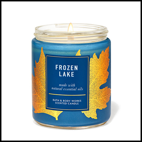 Bath & Body Works Frozen Lake Single Wick Candle