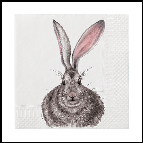 Hare Lunch Napkins  20pk