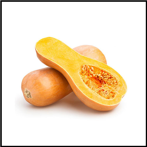 Squash Butternut ea