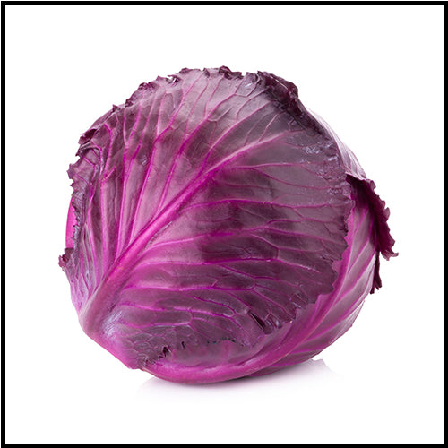 Cabbage Red ea