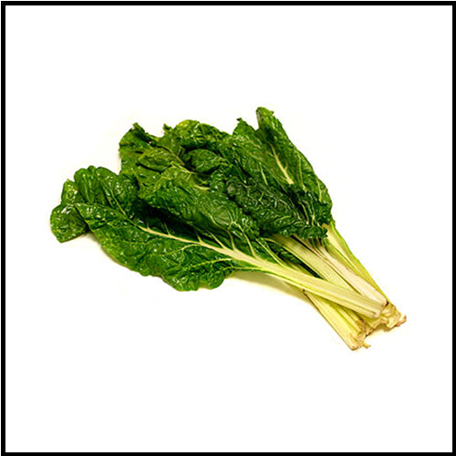 Swiss Chard Green bunch