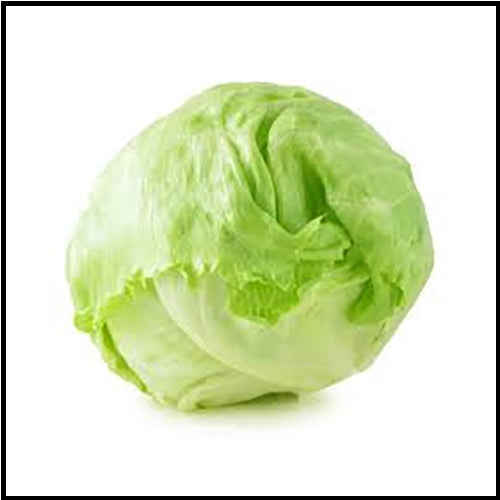 Lettuce Head ea