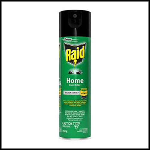 Raid Home Insect Killer 350g