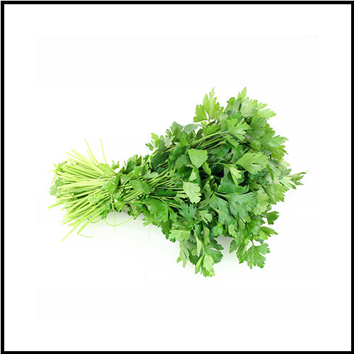 Herbs Parsley Flat bunch