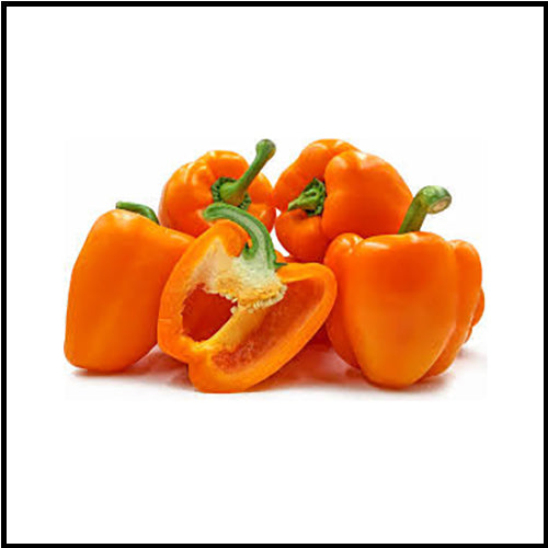 Peppers Round Bell Orange ea