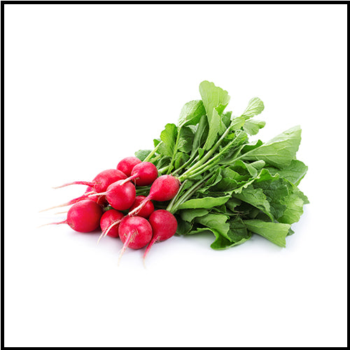 Radishes Red 1lb bag