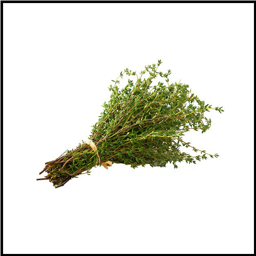 Herbs Thyme bunch